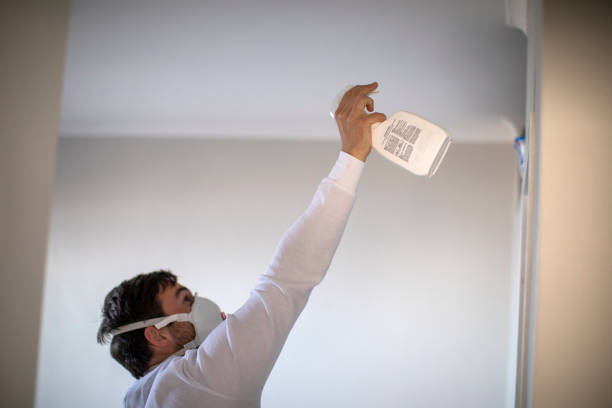 Best Black Mold Remediation in Cottonde, AL