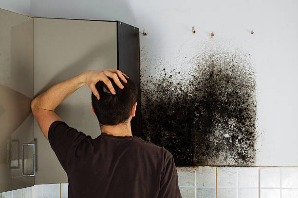 Best Bathroom Mold Remediation in Cottonde, AL